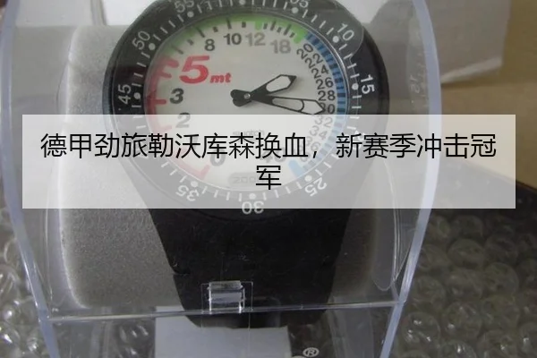 德甲劲旅勒沃库森换血，新赛季冲击冠军